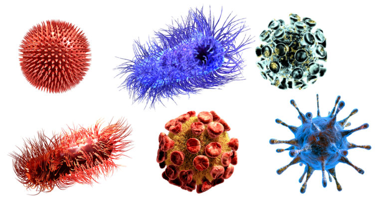 Dr. Kevin Dalby Explains What Viruses Are, How They Spread, And How to Protect Against Them