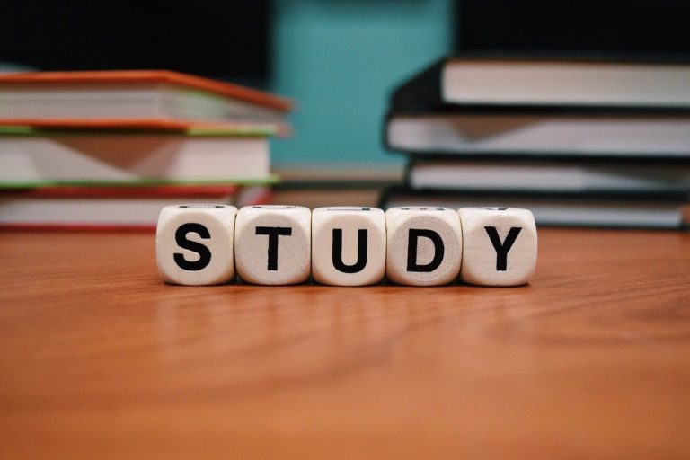 Tips to Put Your Child on the Right Path to Academic Success
