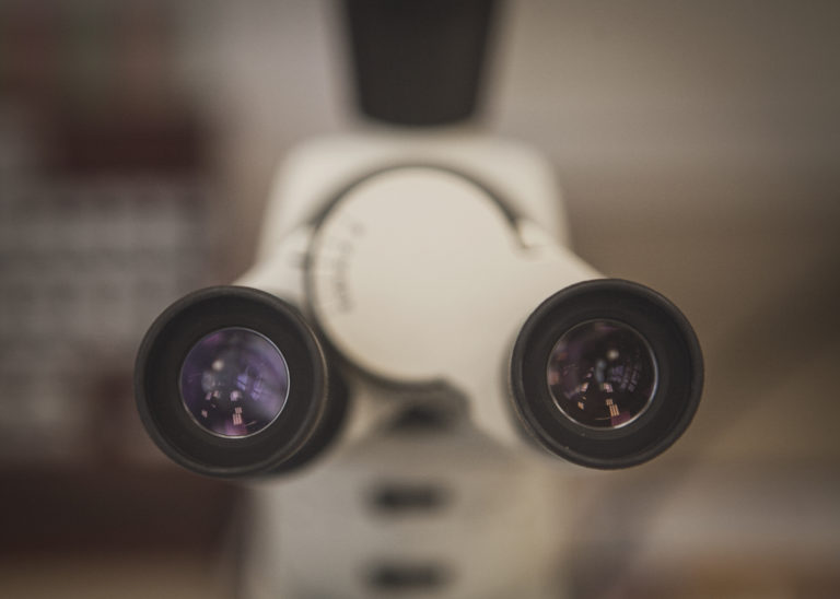 Microscopic Uses In Forensic Engineering