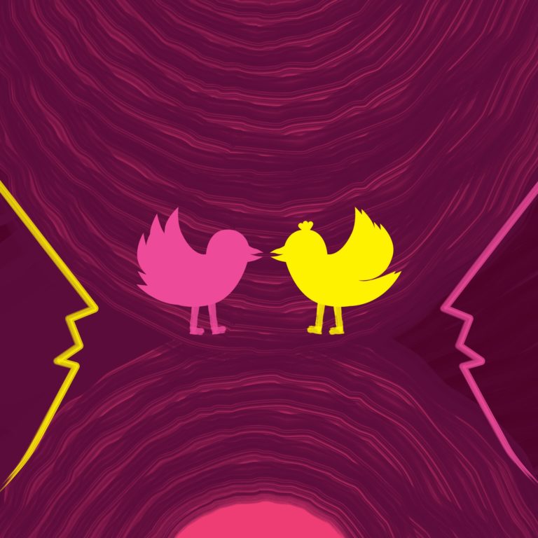 Politics in Social Media: Appealing to Young Voters on Tiktok