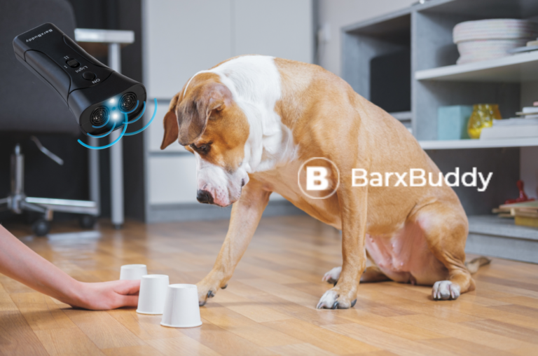 BarxBuddy Shares The Top Benefits Of Training Your Dog In Your Own Home