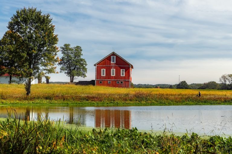 Get Connected in Ohio After Your Move