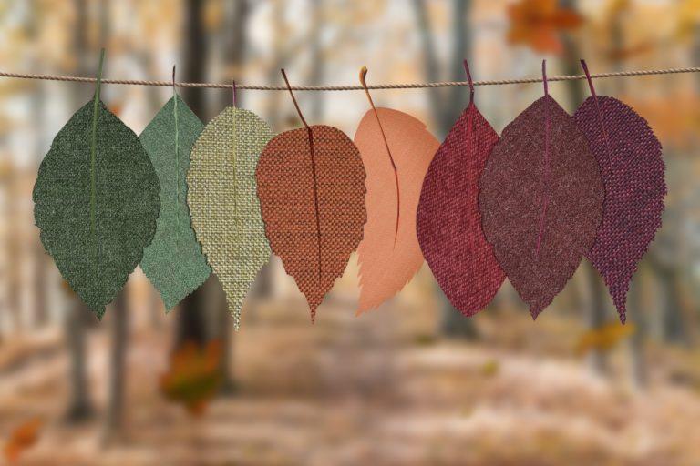 How Small Details Can Elevate Your Party