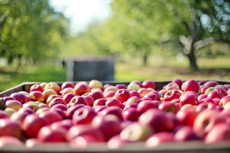 Grants Assist Weighs in: Government Assistance for Farmers Impacted by Water Shortage