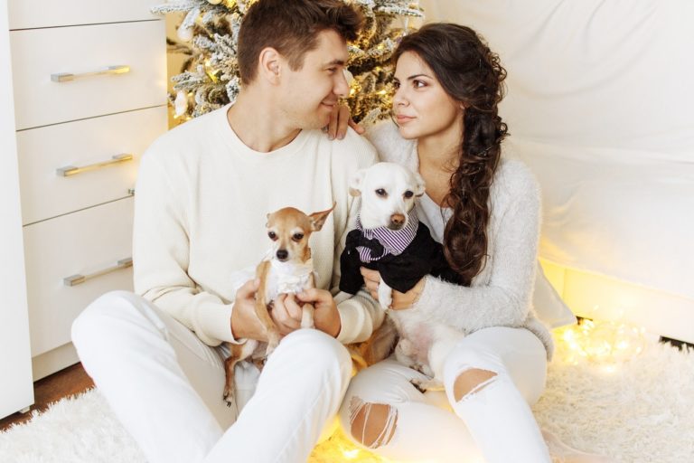 7 Ideas for Keeping Your Pets Safe During the Holidays