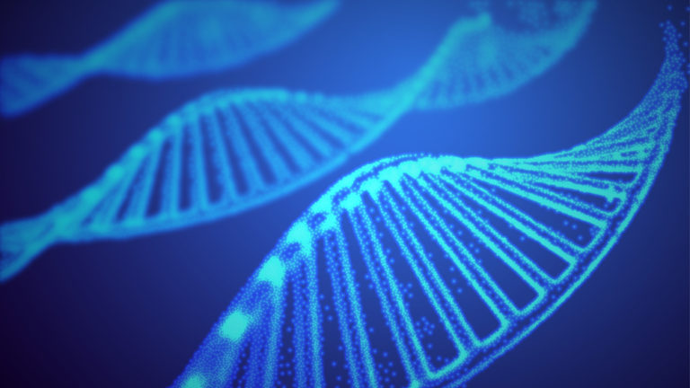 A Look at Diseases Caused by Inherited Genetic Mutations