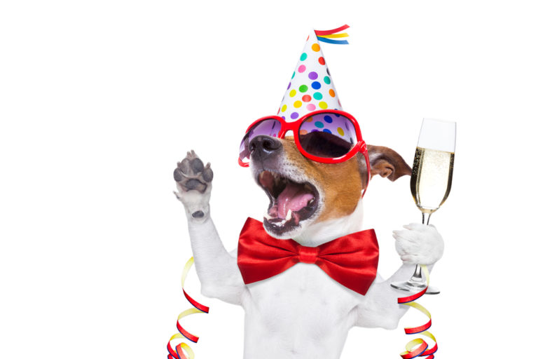 How to Decide on a Theme for Your Dog’s Birthday Party