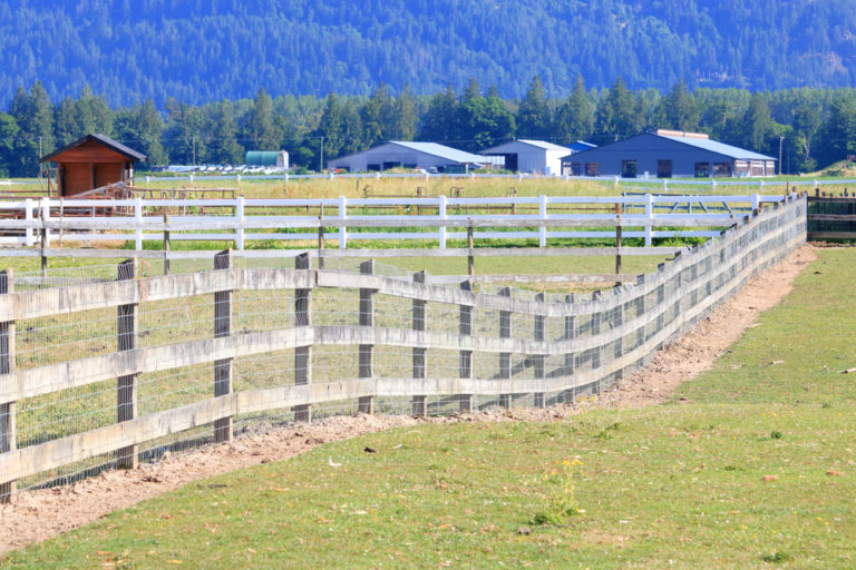 5 Advantages of Upgrading a Farm’s Livestock Containment Area