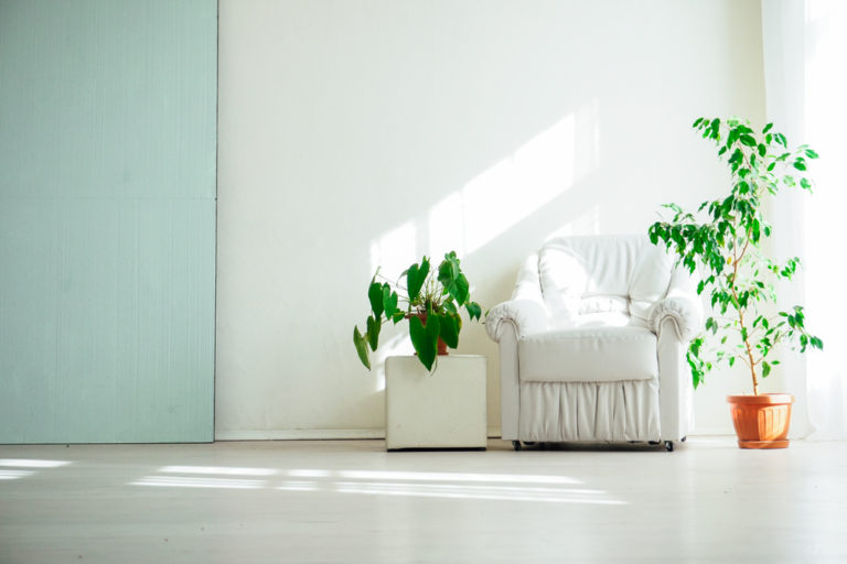6 Ways to Bring More Nature into Your Living Space