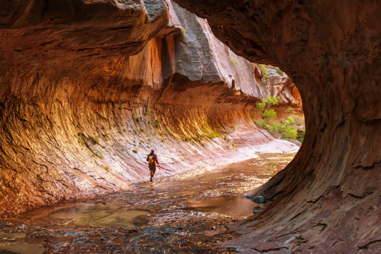 Discover The Best Kept Secrets of Zion National Park
