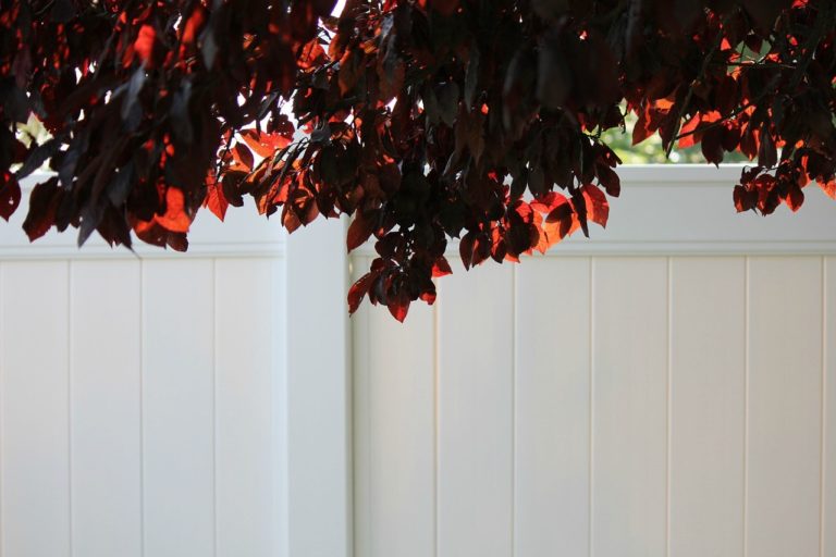 5 Tips for Buying a Vinyl Fence