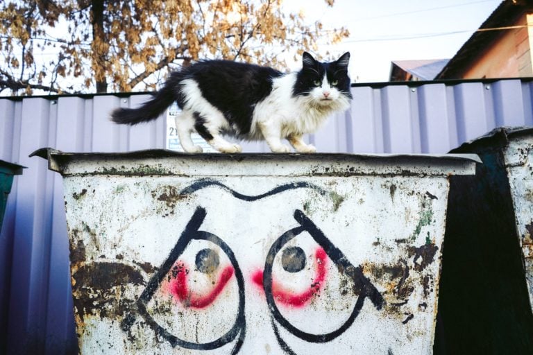 3 Amazing Benefits of Renting a Roll-Off Dumpster
