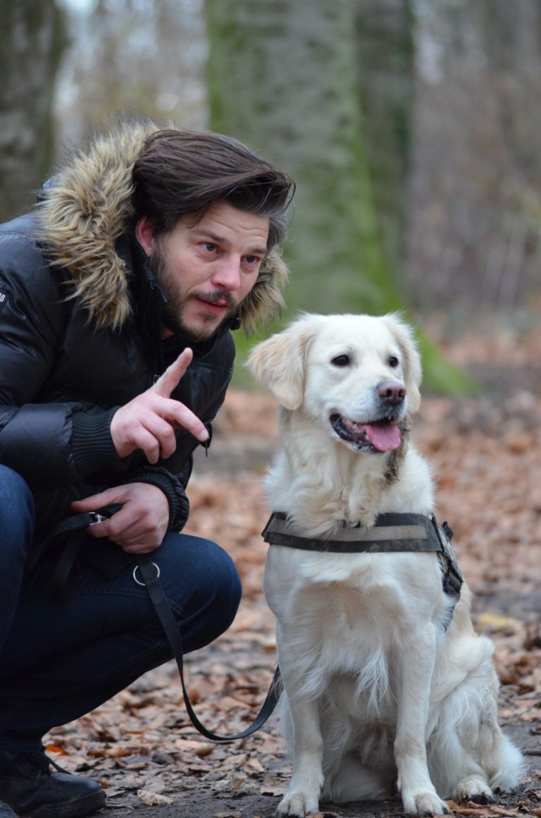 7 Expert Dog Training Tips Every Puppy Parent Needs to Know