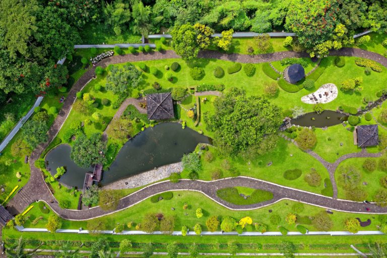 5 Savvy Tips for Planning a New Landscape Design for a Yard