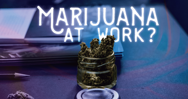 Stay Informed on Local Marijuana Legislation