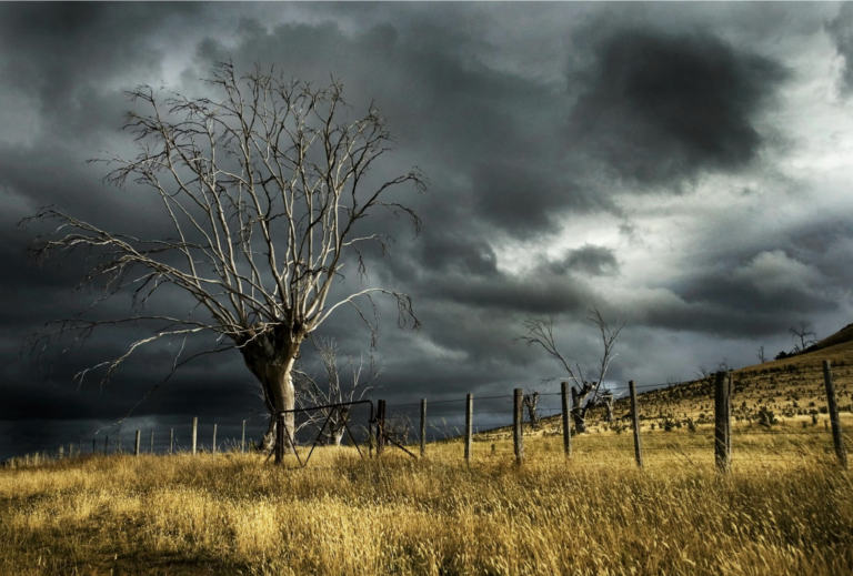 U.S. Now Facing Billion-Dollar Weather Disasters With Increasing Regularity — Texas Worst Affected, New Review Finds