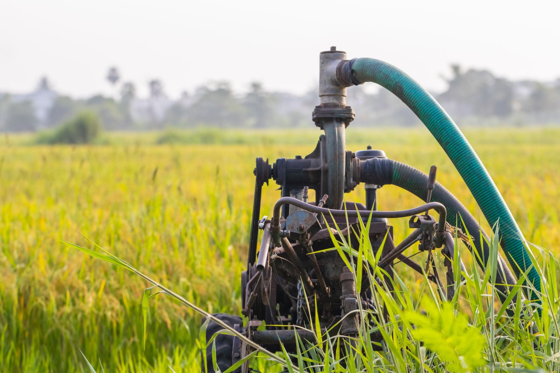 Sources For Getting Water Well Water vs City Water Source: Pros and Cons of Each - The News Hub